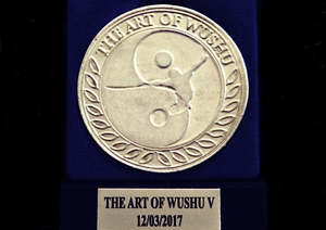 Διακρίσεις στο Πρωτάθλημα «The Art of WuShu»